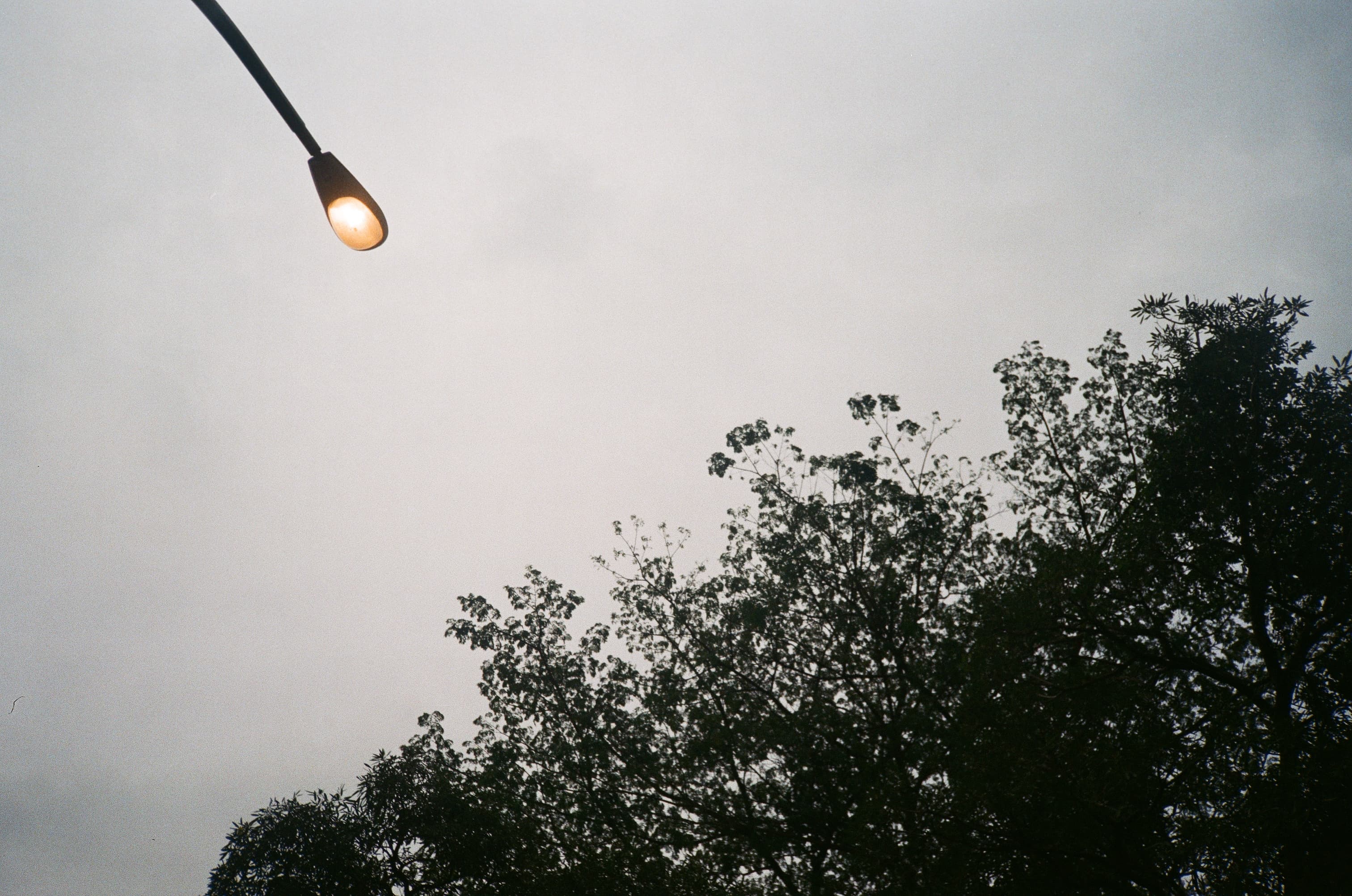 1b8d52ff64e1