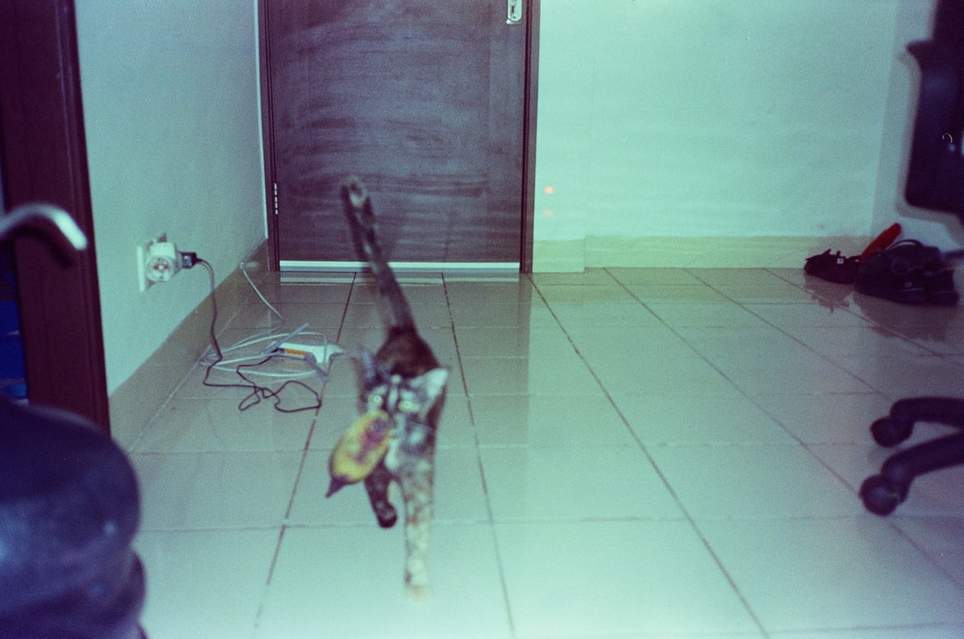 3f7200497dcf. Shot with Olympus Mju II, Cira 800 film