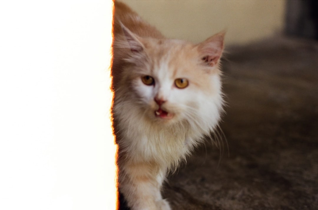 edbe2210e8df. Shot with Olympus OM-1