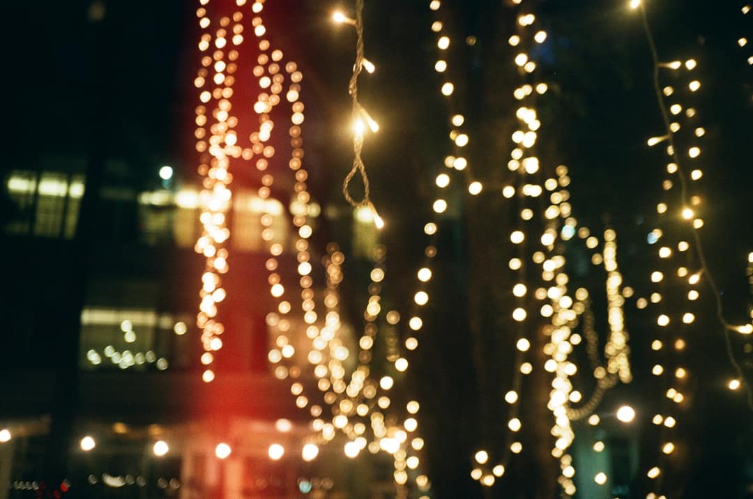 Bokeh String Lights Through Night Trees
