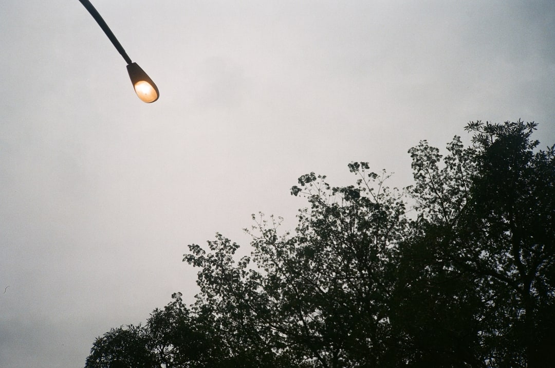Dusk Streetlamp Above Silhouette Trees. Shot with Olympus XA-1