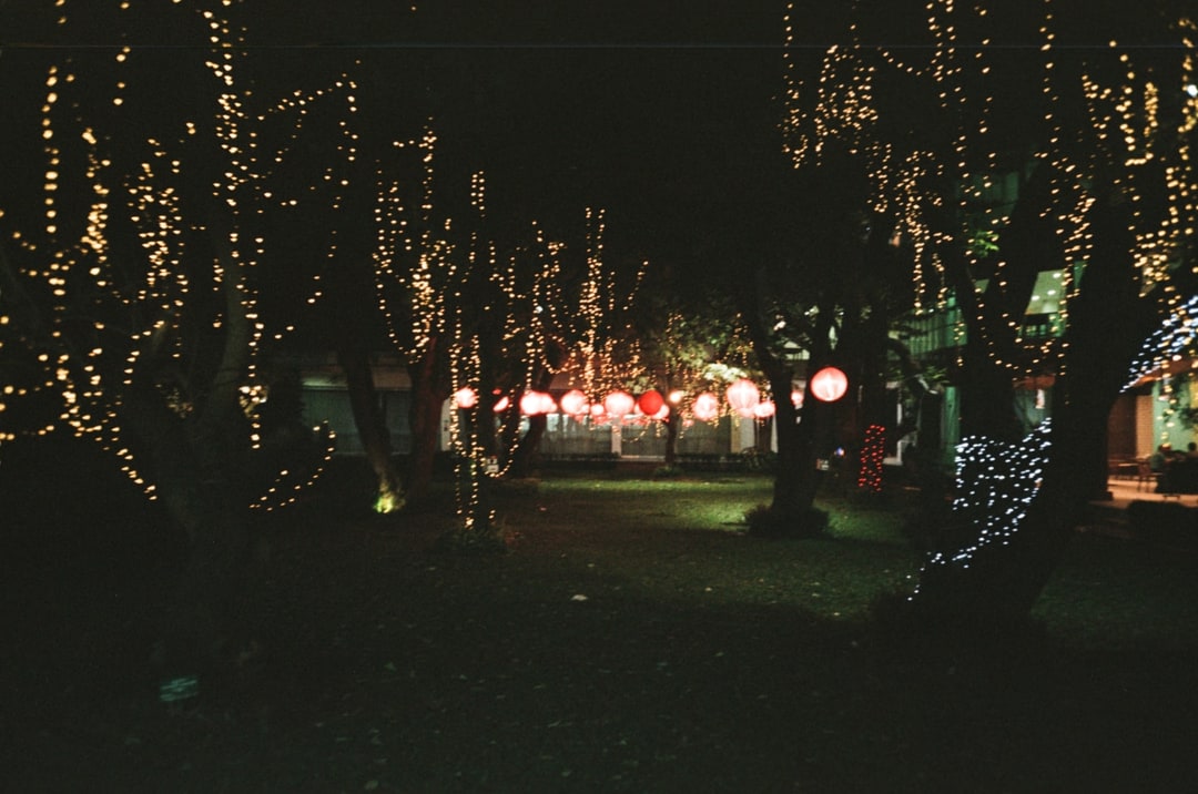 Night Park Lantern Lights. Shot with Olympus Mju I, Kodal Gold 200 film